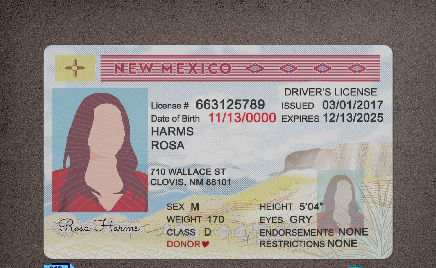 New Mexico DL PSD Template Slide 1